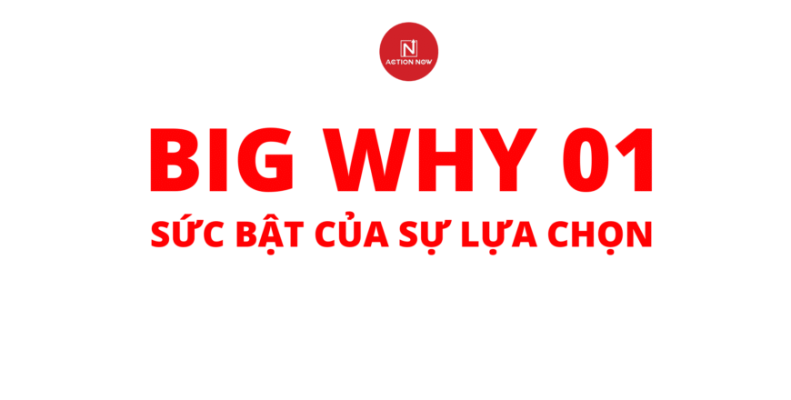 big why 1.png