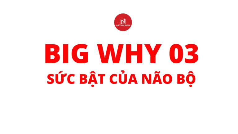 big Why 03: Sức Bật Của Não Bộ
