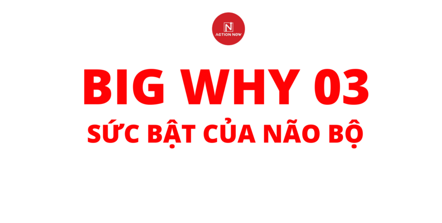 big why 3.png